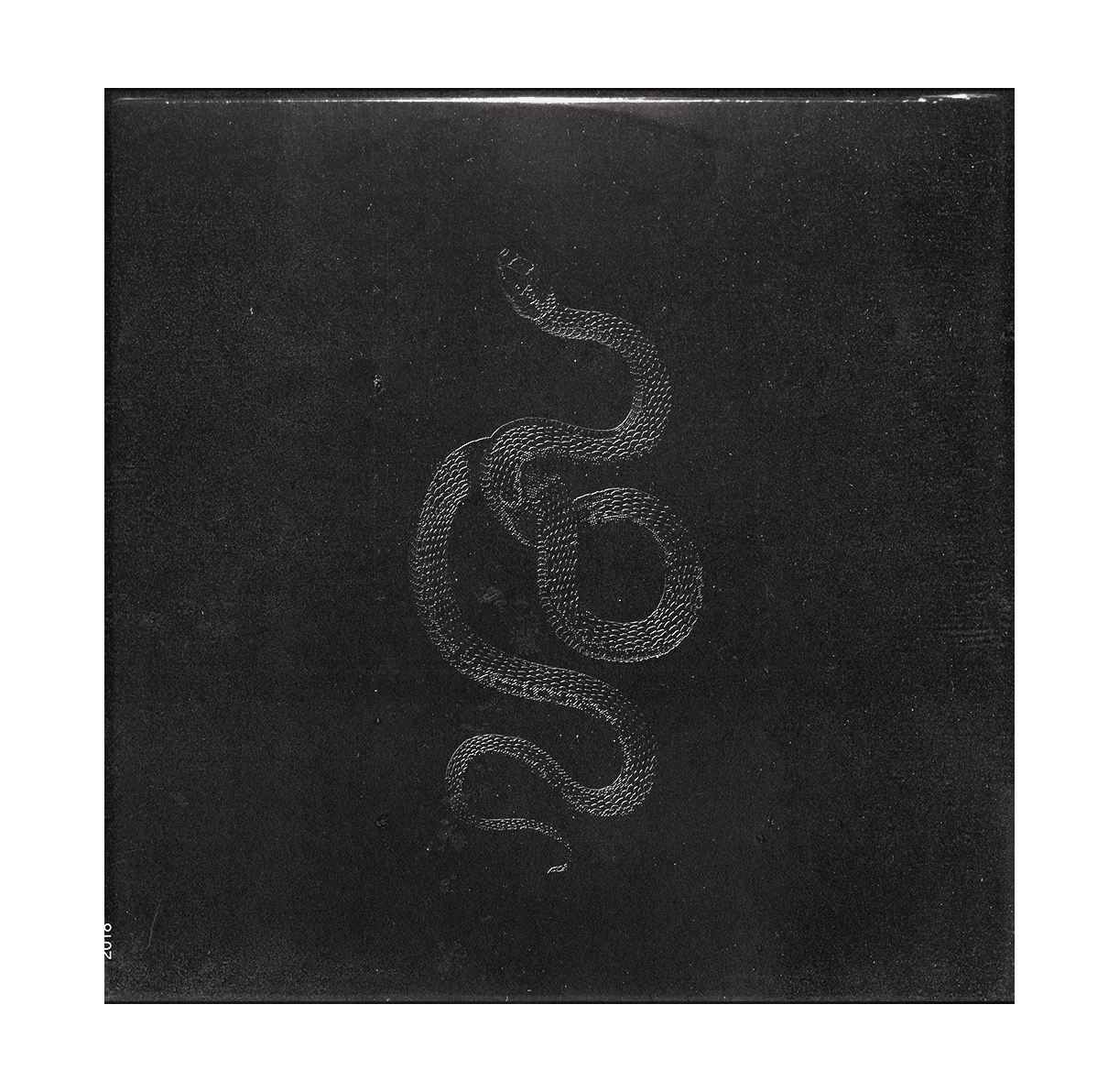 snake cover